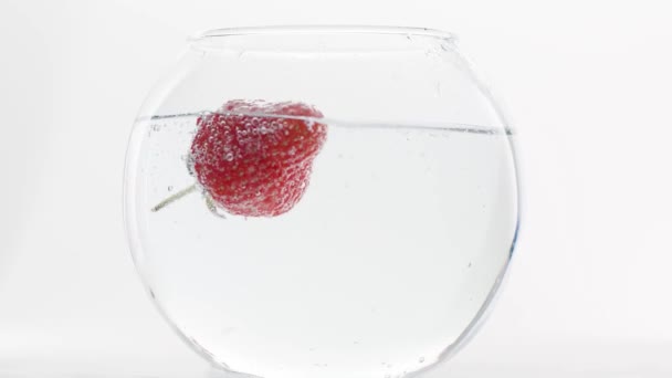 Hermosa fresa dulce fruta fresca atractivo primer plano natural cae en el agua — Vídeos de Stock