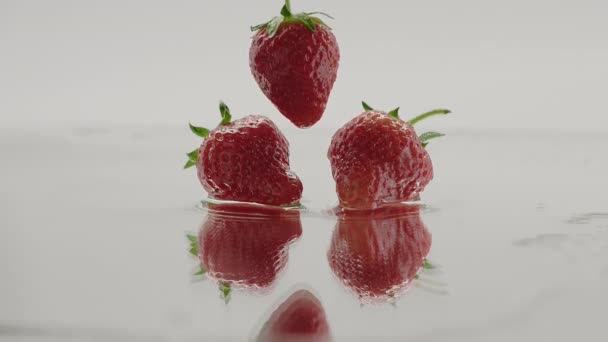 Schattig fruit Aardbei vallen in slow motion op witte achtergrond — Stockvideo