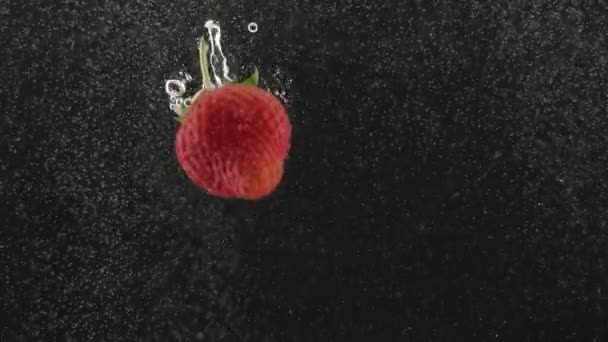 Fraise belle chute dans l'eau au ralenti sur fond noir — Video