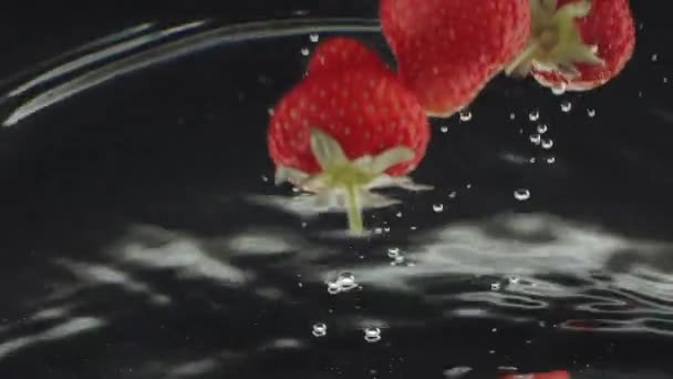 Verse zoete aardbeien in water, mooie commerciële shot voor sap, limonade — Stockvideo