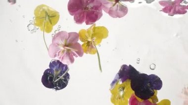 Temiz suda güzel renkli çiçekler dalgalar yaratır.