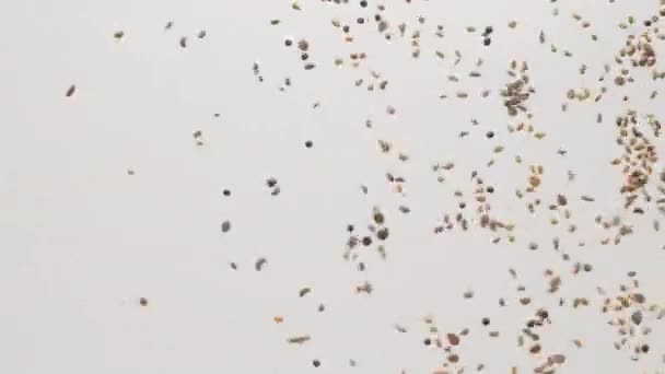Viele Getreidesamen fliegen, nachdem sie sich dynamisch bewegt haben und es in Zeitlupe explodiert ist — Stockvideo