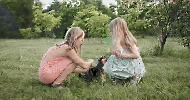 Boldog kislányok játszanak kutyával a parkban, és jól érzik magukat együtt. — Stock videók