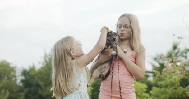 공원에서 개 랑노는 행복 한 어린 소녀들 과 재미있는 자매들 — 비디오