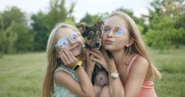 快乐的小女孩在公园里与狗玩耍，还有快乐的妹妹在一起 — 图库视频影像