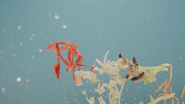 Os vegetais saltam e caem no ar gengibre cogumelos pimentão vermelho e repolho — Vídeo de Stock