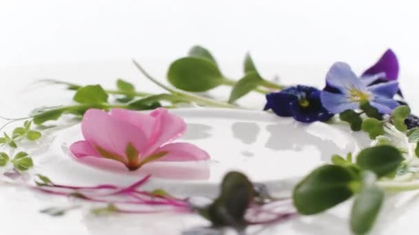 Kiemkracht micro greens roteren Prachtige blauw roze hibiscus bloem spruiten — Stockvideo