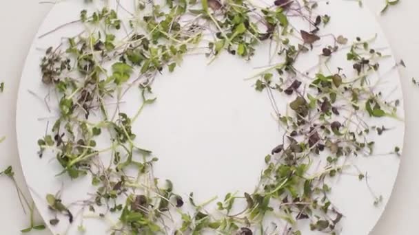 Tafel rond met micro greens ontkiemen veganistisch rauw eco biologisch voedsel kiemen — Stockvideo