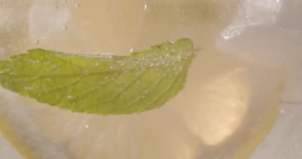 Освіжаючий безалкогольний напій Лимон з льодом та м'ятою у вапняку з ігристою водою — стокове відео