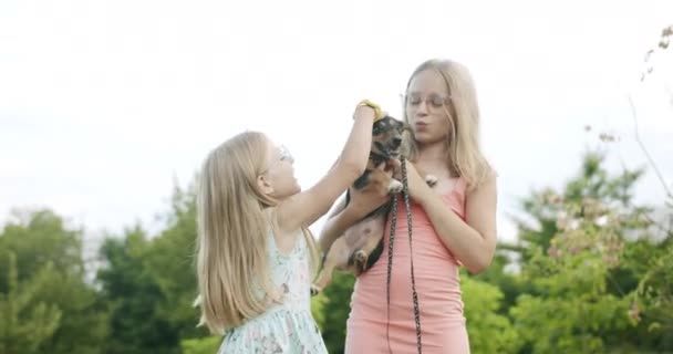 Felici bambine che giocano con il cane nel parco e si divertono sorelle insieme — Video Stock