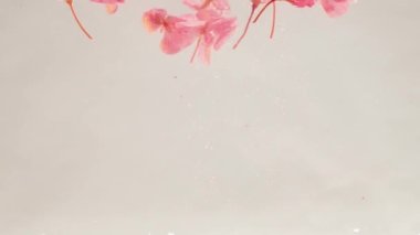 Yaratıcı. Suyun üzerinde yüzen güzel sarı amber çiçekleri.