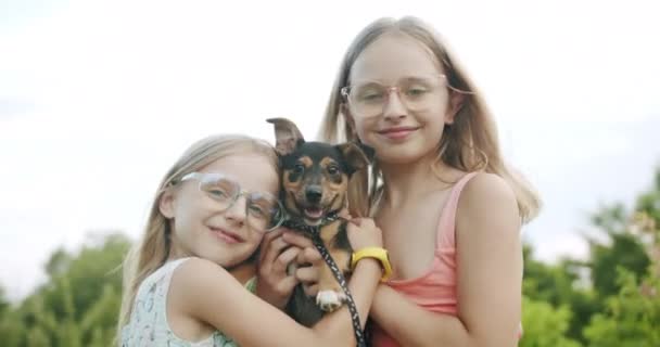 Dos hermanas abrazar a un perro pequeño en el parque y jugar con la mascota y divertirse — Vídeo de stock