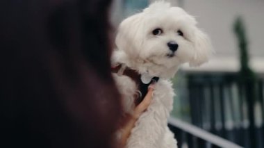 Bir kadın kucağında küçük beyaz bir köpek tutuyor ve onunla konuşuyor. Köpek kameraya bakar. Şehir caddesinde açık alandalar..