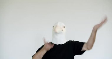 Ördek maskesi takan biri beyaz arka planda dans eder. Bu tuhaf video neşe, mizah ve kaprisleri çağrıştırıyor. Projeler için mükemmel..