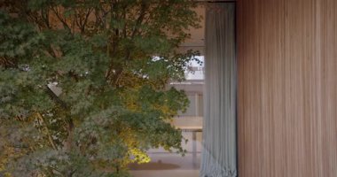 Ahşap duvarlı, saf beyaz perdeli modern bir ev. Geceleri parlayan yemyeşil ağaç büyük pencereden görülebilir. Şık ve çağdaş tasarım ögeleri.