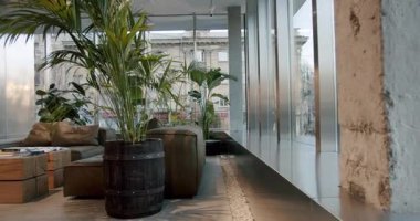 Yeşil bitkiler ve minimalist mobilyalarla modern kurul içi. Doğal ışık büyük pencerelerden dükkânı aydınlatıyor, samimi ve davetkar bir atmosfer yaratıyor.. 