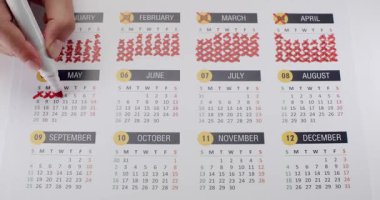 Takvimdeki tarihleri işaretlemek için kırmızı kalem kullanan bir elin yakın çekimi. Planlama ve planlama konsepti. Önemli Olaylar İçin Kırmızı Kalem Takvimi Üzerindeki Tarihler İşaretleniyor