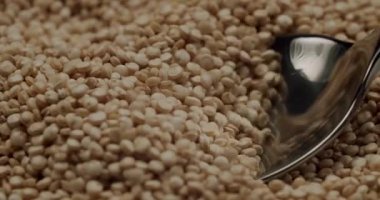 Doğal tahıl taneleri organik besinleri ve sağlıklı bir diyeti temsil ediyor. Kurutulmamış beyaz kinoa tohumları yavaşça kırsal ahşap bir kasede dönüyor, çiğ beyaz kinoa tohumları ahşap kasede dönüyor..