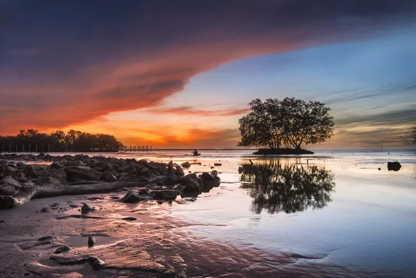 Mangrovenbäume im Meer mit buntem Sonnenaufgang am Himmel — Stockfoto