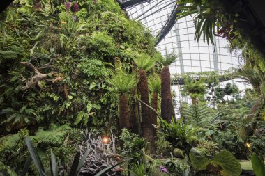 Dağ taklit bulut orman Dome, Körfez, Singapur Bahçe
