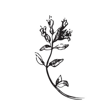 Çiçek çizim ile ayarla