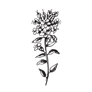 Çiçek çizim ile ayarla