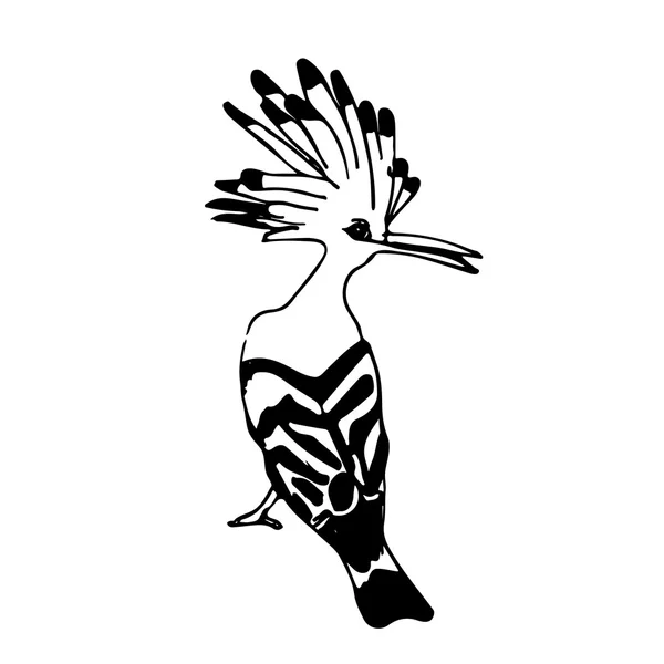 Bird hand drown — Stock Vector
