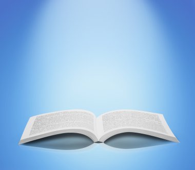 Açık kitap izole yumuşak arka plan
