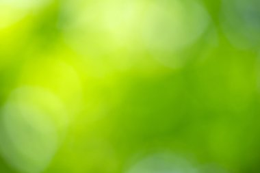  Yeşil doğa arkaplanı