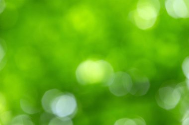 Yeşil bokeh arka plan