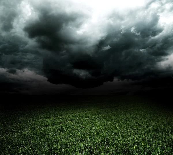 Tempestade nuvens escuras sobre o campo com grama — Fotografia de Stock