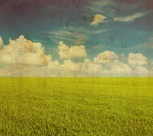 Campo de hierba y cielo perfecto — Foto de Stock