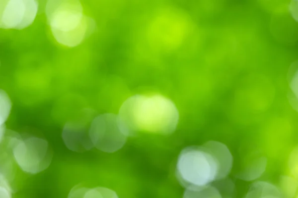 Grüner Bokeh Hintergrund — Stockfoto