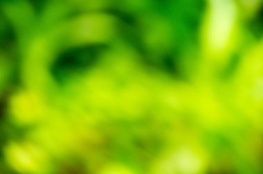 Doğal Bokeh, bulanık bokeh.