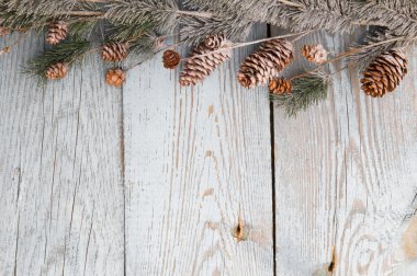 Köknar dallı Noel arkaplanı