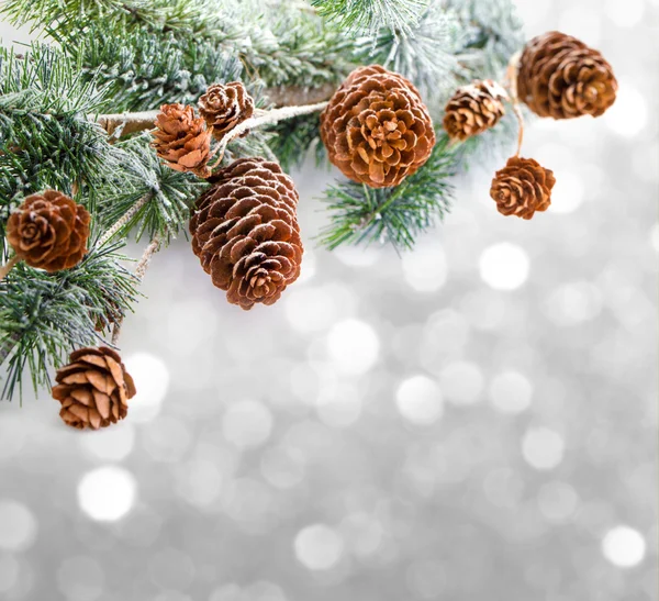 Рождественский фон с еловыми ветвями, шишками и ягодами на — стоковое фото