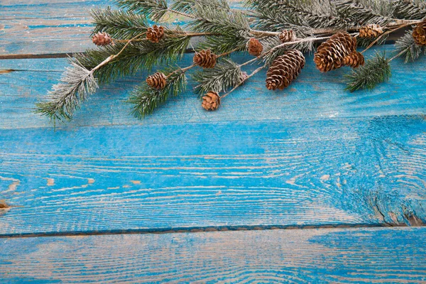 Fond de Noël avec des branches de sapin, des pommes de pin et des baies sur — Photo