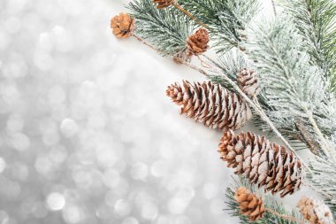 Kış dekorasyonu. Noel dekorasyon