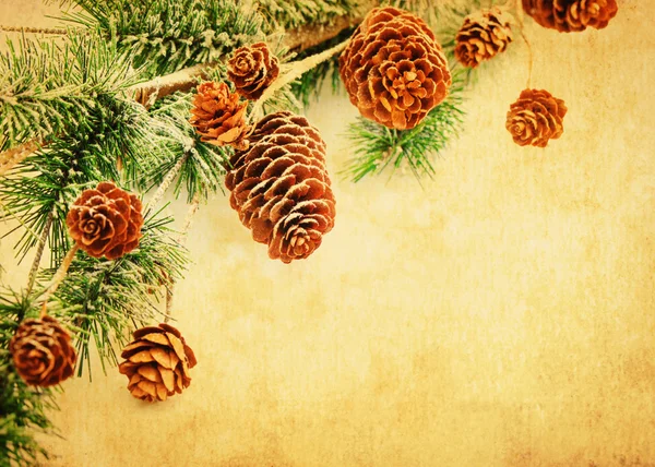 Jul bakgrund med fir grenar, kottar och bär på — Stockfoto