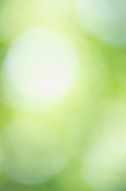 bahar ya da yaz doğa arka plan