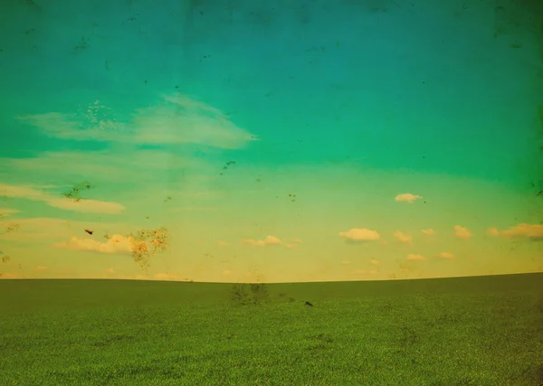 Поле Травы Совершенное Голубое Небо — стоковое фото