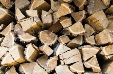 Tahta duvar dokusu, ahşap sırtı.