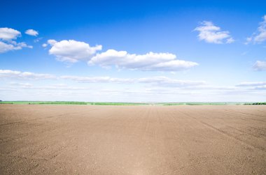 Çimen tarlası ve mükemmel bir gökyüzü