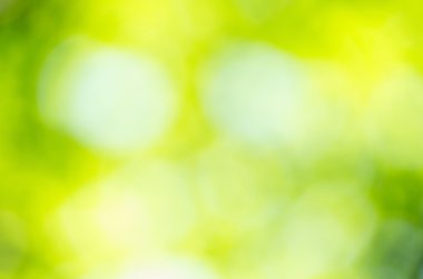 Doğal Bokeh, bulanık bokeh.