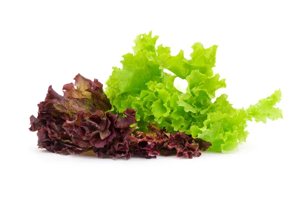 Fresh Green Lettuce Leaves Isolated White — Stock Photo, Image