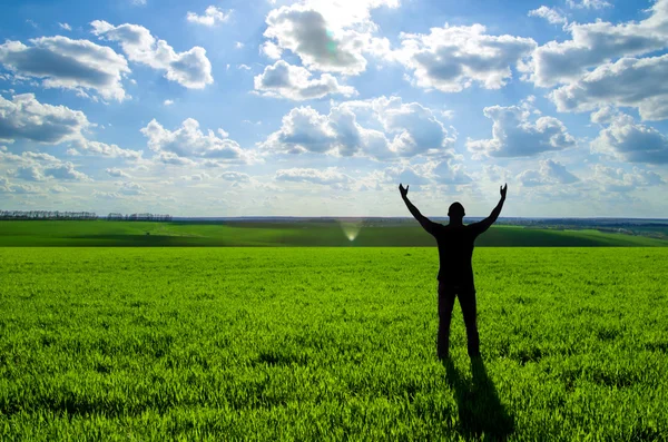 Homme Dans Prairie Verte Élément Conception — Photo