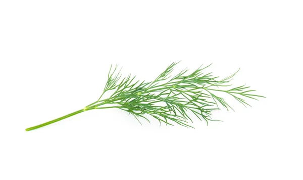 Green Dill Isolated White Background Studio Macro — Stock Photo, Image