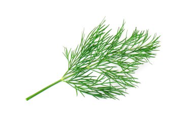 Beyaz adam izole yeşil dereotu