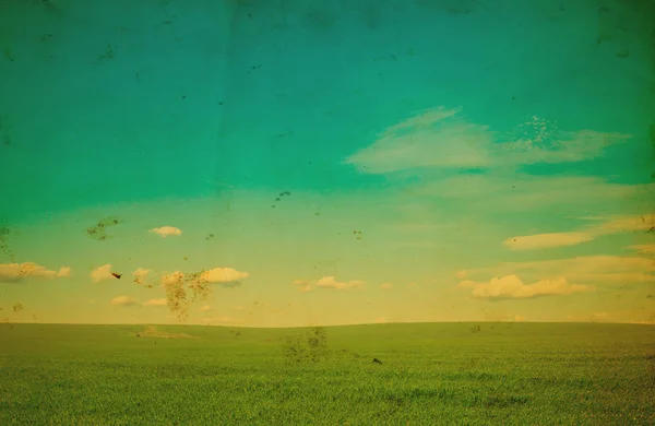 Campo Hierba Cielo Azul Perfecto — Foto de Stock