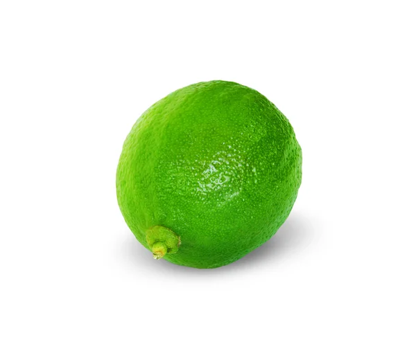 Lime Isolated White Background — Stock Photo, Image